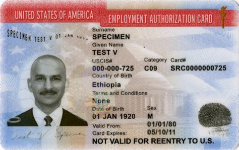 Work Permits and Visas in 2024: Your Handbook for the Philippines.